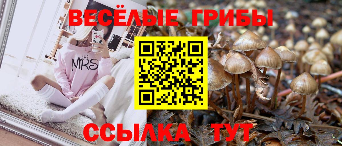 Сочи  Галлюциногенные грибы прущие грибы  Вход с VPN  Галлюциногенные грибы MAGIC MUSHROOMS 